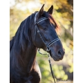 LightRider Dressage Bitless Bridle